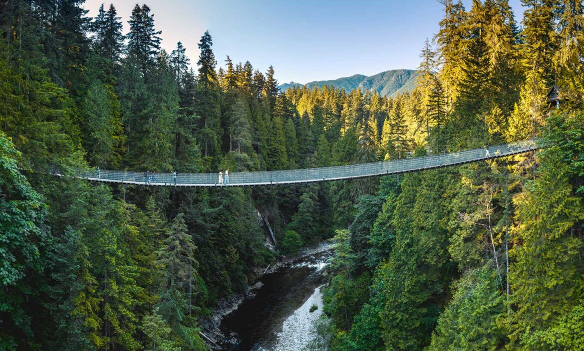 Capilano Suspension Bridge Park 5120x1080 Video